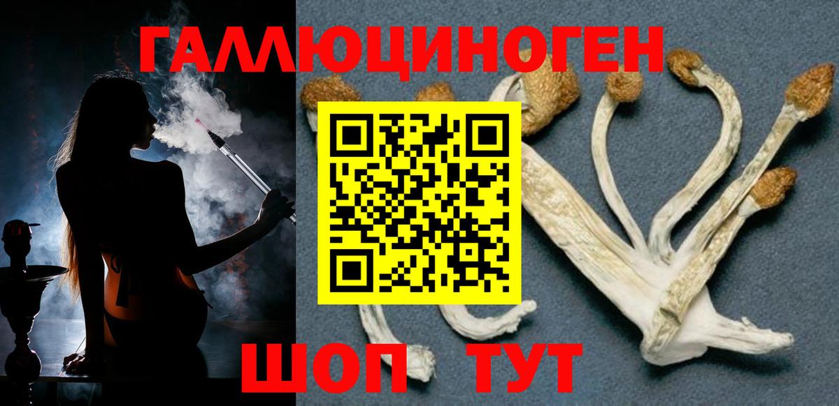 Псилоцибиновые грибы Psilocybe  Вход с VPN  Щёлково  Галлюциногенные грибы мицелий 