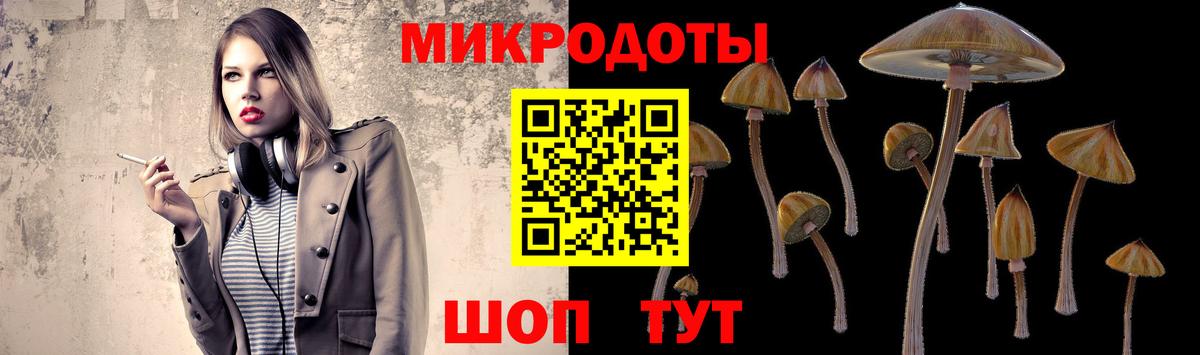 Псилоцибиновые грибы Cubensis Щёлково